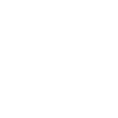 Carta Capital